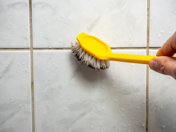 Best Local Mold Removal Service  in Dilworth, MN