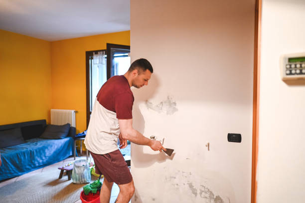 Best Attic Mold Removal  in Dilworth, MN